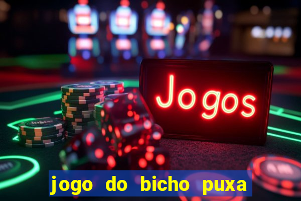 jogo do bicho puxa de dona maria